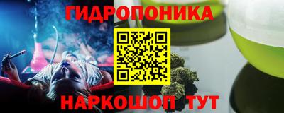 стаф Тула